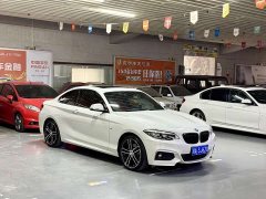 BMW 2 Series (Imported) 2019 225i Luxury M Sport Package - ფოტო 4