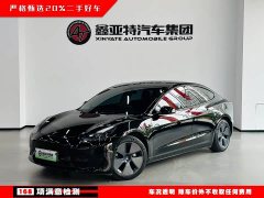 Tesla Model 3 Standard Range RWD Upgrade 3D6 - ფოტო 1