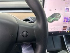 Tesla Model 3 Standard Range RWD Upgrade 3D6 - ფოტო 7