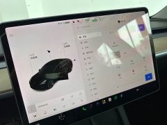 Tesla Model 3 Standard Range RWD Upgrade 3D6 - ფოტო 9