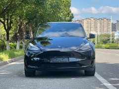 Tesla Model Y 2023 Rear-Wheel Drive - ფოტო 2