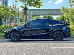 Tesla Model Y 2023 Rear-Wheel Drive - ფოტო 5