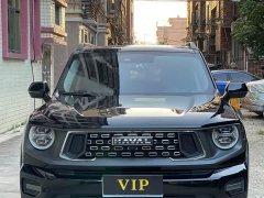 Haval Big Dog PLUS 1.5T Two-Wheel Drive Trendy Wilderness Edition Plus - ფოტო 2