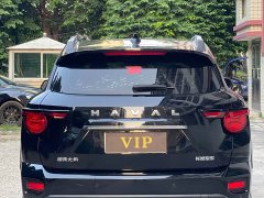 Haval Big Dog PLUS 1.5T Two-Wheel Drive Trendy Wilderness Edition Plus - ფოტო 8
