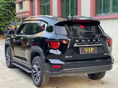 Haval Big Dog PLUS 1.5T Two-Wheel Drive Trendy Wilderness Edition Plus - ფოტო 9