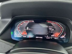 BMW X7 xDrive40i M Sport Premium Package - ფოტო 16