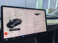 Tesla Model Y 2022 Facelift Rear-Wheel Drive - ფოტო 6