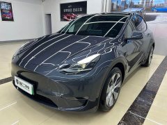 Tesla Model Y Long Range All-Wheel Drive - ფოტო 1