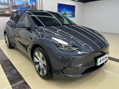 Tesla Model Y Long Range All-Wheel Drive - ფოტო 3
