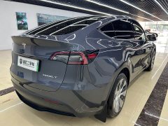 Tesla Model Y Long Range All-Wheel Drive - ფოტო 6