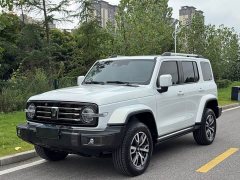 Tank 300 City Edition 2.0T Stylish - ფოტო 1