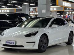 Tesla Model 3 2020 Facelift Standard Range RWD Upgrade - ფოტო 1