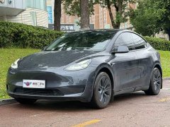 Tesla Model Y Rear-Wheel Drive - ფოტო 1