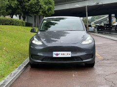 Tesla Model Y Rear-Wheel Drive - ფოტო 2
