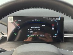 BYD Destroyer 05 Glory Edition DM-i 55KM Luxury - ფოტო 15
