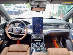 BYD Tang New Energy 2021 DM-i 112KM Premium Edition - ფოტო 10