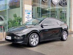 Tesla Model Y Rear-Wheel Drive - ფოტო 1