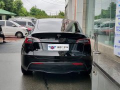 Tesla Model Y Rear-Wheel Drive - ფოტო 5