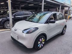 Wuling Binguo 2024 333km Joy Edition - ფოტო 1
