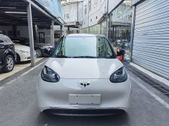 Wuling Binguo 2024 333km Joy Edition - ფოტო 2