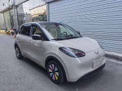 Wuling Binguo 2024 333km Joy Edition - ფოტო 3