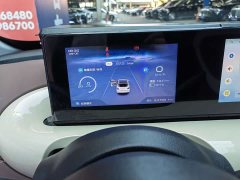 Wuling Binguo 2024 333km Joy Edition - ფოტო 6