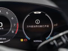 Porsche 2024 Panamera 2.9T - ფოტო 17