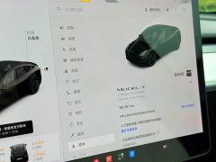 Tesla Model Y Long Range All-Wheel Drive - ფოტო 14