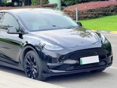 Tesla Model Y Long Range All-Wheel Drive - ფოტო 3