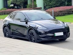 Tesla Model Y Long Range All-Wheel Drive - ფოტო 4