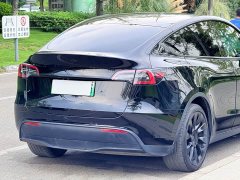 Tesla Model Y Long Range All-Wheel Drive - ფოტო 6