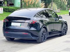 Tesla Model Y Long Range All-Wheel Drive - ფოტო 7
