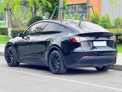 Tesla Model Y Long Range All-Wheel Drive - ფოტო 8