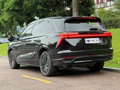 Great Wall WEY Blue Mountain Four-Wheel Drive Max - ფოტო 4