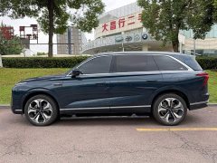 Great Wall WEY Blue Mountain Four-Wheel Drive Extended Range Version - ფოტო 3