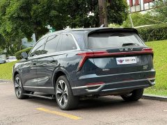 Great Wall WEY Blue Mountain Four-Wheel Drive Extended Range Version - ფოტო 4