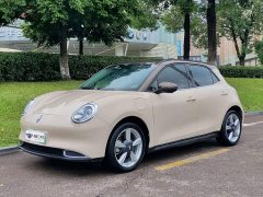ORA Good Cat 400km Standard Range Athena Edition Ternary Lithium - ფოტო 1