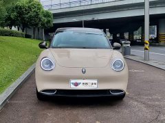 ORA Good Cat 400km Standard Range Athena Edition Ternary Lithium - ფოტო 2