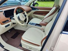 ORA Good Cat 400km Standard Range Athena Edition Ternary Lithium - ფოტო 7