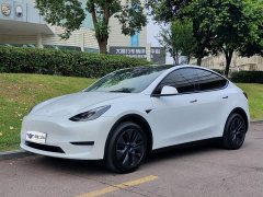 Tesla Model Y 2023 Rear-Wheel Drive - ფოტო 1