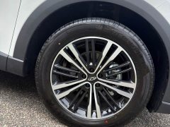 Chery Tiggo 9 9X 2.0T Automatic Two-Wheel Drive Luxury - ფოტო 6