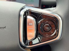 Geely Galaxy Starlight 6 125km Extended Range Edition - ფოტო 13