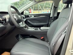 Geely Galaxy Starlight 6 125km Extended Range Edition - ფოტო 8
