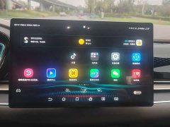 BYD Han 2020 DM AWD Performance Luxury Edition - ფოტო 10