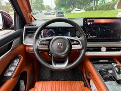 Tank 500 3.0T Premium Custom Edition 5-Seater - ფოტო 14