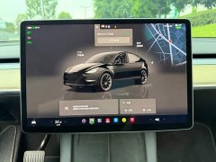 Tesla Model Y 2022 Rear-Wheel Drive - ფოტო 9