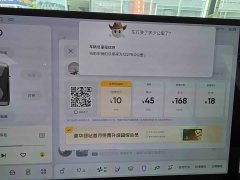 Li Auto Li Xiang MEGA 2024 Ultra - ფოტო 13