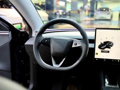 Tesla Model 3 2023 Rear-Wheel Drive - ფოტო 11