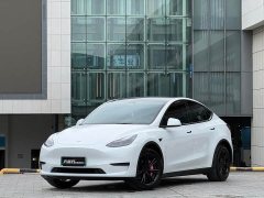Tesla Model Y Rear-Wheel Drive - ფოტო 1