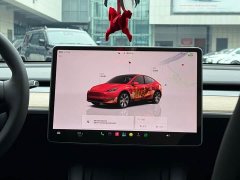 Tesla Model Y Rear-Wheel Drive - ფოტო 13